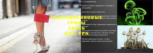 шишки Алзамай