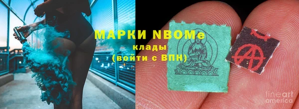 шишки Алзамай